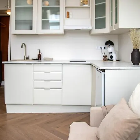 Cozy Loft Close To The Center Korter Tallinn